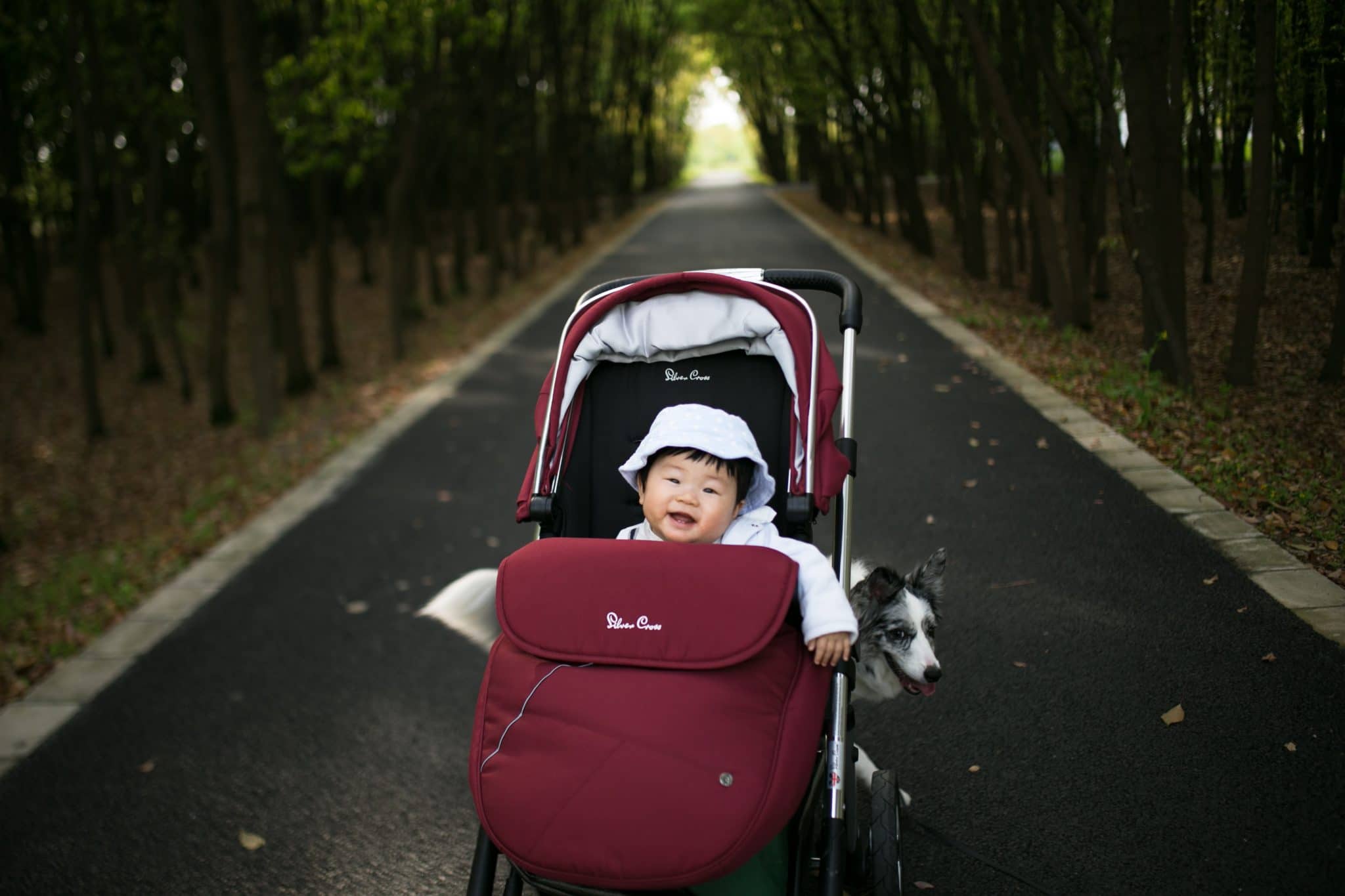 5 conseils pour se promener avec bébé